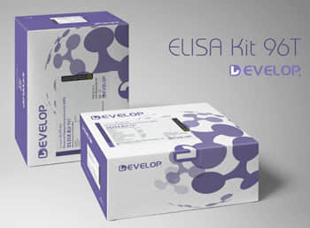 Rat Platelet Derived Growth Factor Receptor Alpha (PDGFRa) ELISA Kit